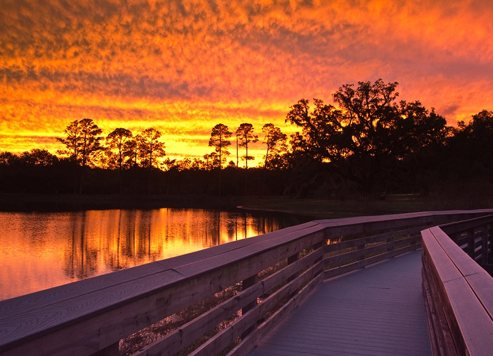 florida orange sunset